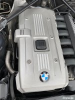IMG_7592.jpeg