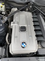IMG_7593.jpeg