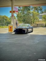 IMG_4396.jpeg