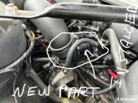 IMG_0993.jpeg