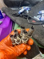 IMG_0108.jpeg