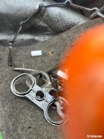 IMG_0109.jpeg