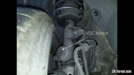 Adaptive Shock_2.1.1.jpg