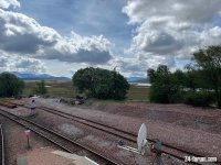 IMG_9288.jpeg