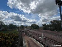 IMG_9287.jpeg