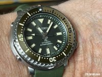 IMG_2916.jpeg