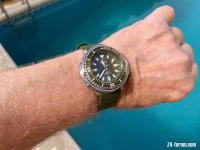 IMG_2971.jpeg