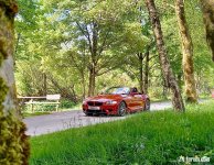 IMG_2702.jpeg