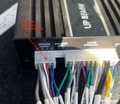 IMG_7285.jpeg
