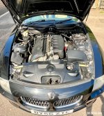 IMG_5217.jpeg
