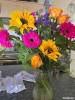 IMG_3563.jpeg