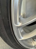 IMG_9854.jpeg