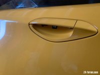 IMG_2815.jpeg