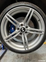 IMG_2825.jpeg