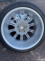 IMG_0974.jpeg