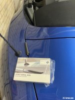 IMG_3381.jpeg