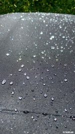 IMG_6302.jpeg IMG_6302.jpeg