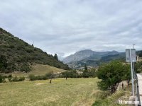 IMG_9625.jpeg