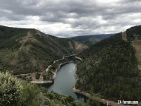 IMG_0029.jpeg