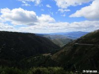 IMG_0382.jpeg