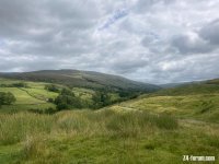 IMG_7217.jpg