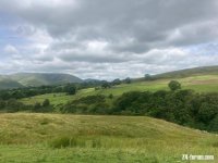 IMG_7224.jpg