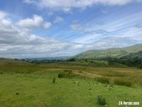 IMG_7222.jpg