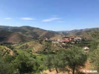 IMG_3440.jpeg