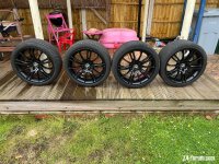 IMG_8223.jpeg