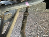 IMG_2545.jpeg