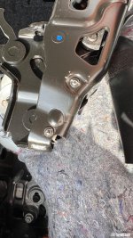 IMG_3256.jpeg