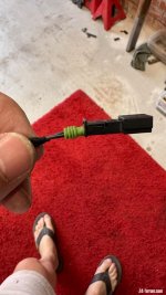 IMG_3258.jpeg