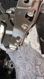 IMG_3256.jpeg