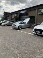 IMG_4956.jpeg IMG_4956.jpeg