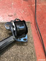 IMG_2895.jpeg