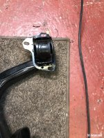 IMG_2894.jpeg