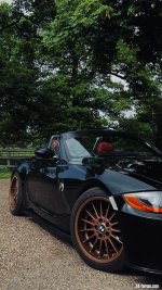 IMG_7284.jpeg
