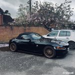 IMG_1977.jpeg