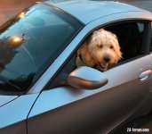 IMG_2156.jpeg