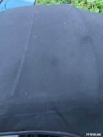 IMG_3384.jpeg IMG_3384.jpeg