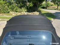 IMG_3172.jpeg