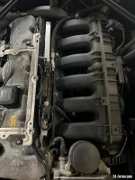 IMG_3645.jpeg