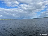 IMG_9951.jpeg