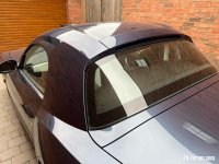 IMG_7942.jpeg