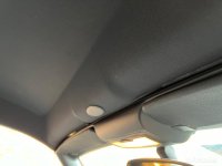 IMG_7947.jpeg