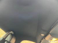 IMG_7948.jpeg