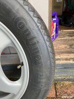 IMG_1031.jpeg
