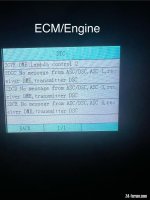 IMG_1042.jpeg