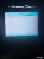IMG_1043.jpeg