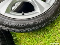 IMG_1355.jpeg